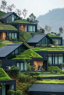 山坡上的绿色屋顶现代住宅