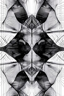 黑白对称抽象线条艺术图案