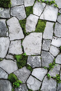 石板路的绿意生机