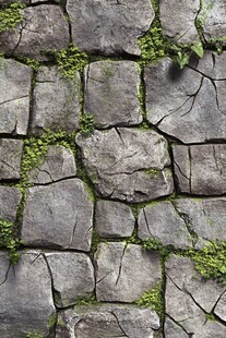 长满青苔的古朴石墙纹理