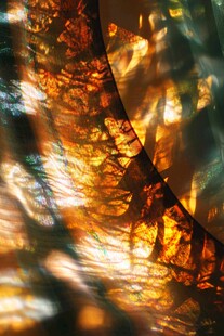 梦幻森林光影艺术景象