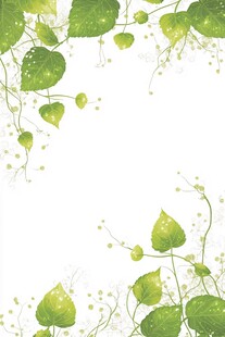 清新绿叶藤蔓边框背景图