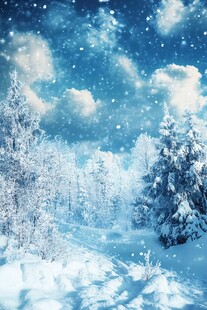 冬日雪景中的静谧森林