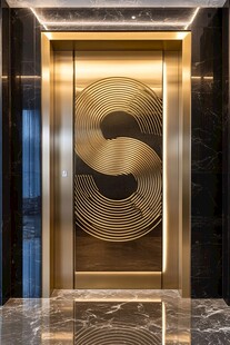 奢华金饰电梯门设计展示