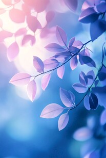 梦幻紫叶 光影交织之美