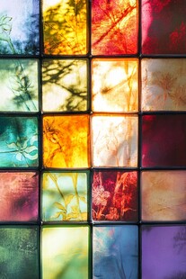 彩色玻璃上的自然光影图案