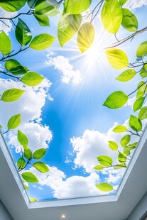 透过绿叶看晴朗天空