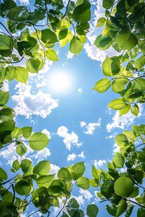 透过绿叶望蓝天阳光
