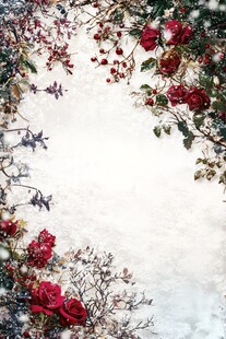冬日红玫瑰花卉雪景边框