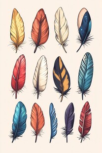 多彩羽毛插画集合