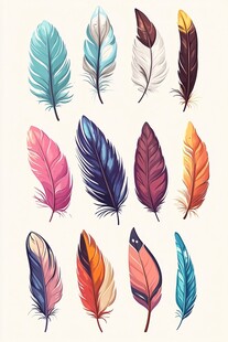 多彩羽毛插画集
