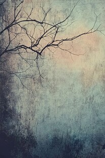 枯树枝下的朦胧光影