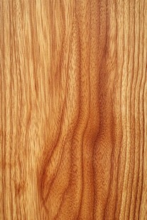 木质纹理特写