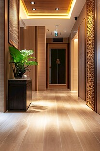 中式风格电梯间走廊美景