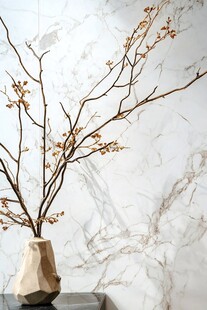 几何花瓶中的枯枝艺术