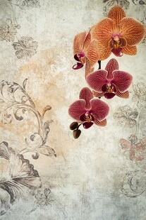 复古风兰花花卉艺术图