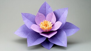 紫色折纸莲花绽放之美