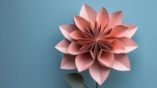 粉色折纸花 清新艺术感