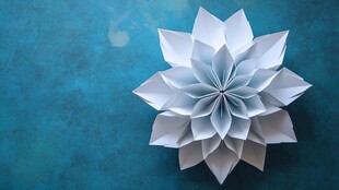 精致白色折纸花 背景幽蓝