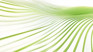 翠绿线条构成的流动韵律