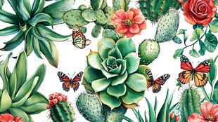 多肉仙人掌与蝴蝶花卉图案