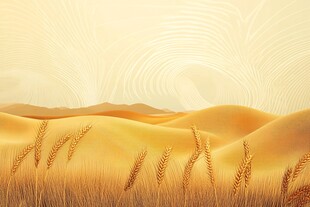 金色麦田与起伏山丘美景