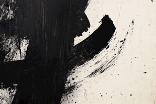 墨韵笔触 黑白艺术之美