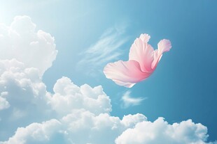 天空中飞舞的粉色花瓣