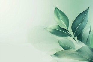清新绿叶插画背景图