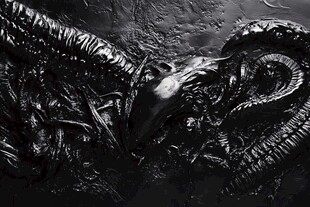 外星生物雕塑特写