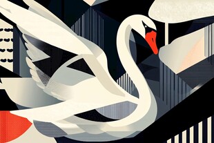 抽象风格展翅天鹅插画