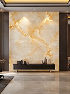 奢华大理石背景墙室内景