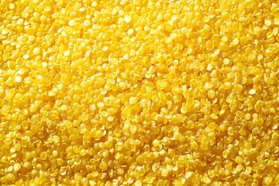 金黄小米颗粒饱满诱人