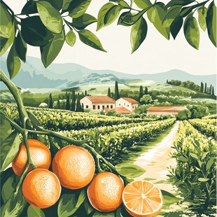 田园柑橘风光图