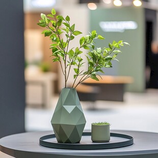 几何花瓶中的清新绿植