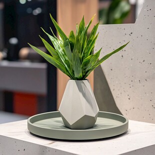 几何花瓶中的翠绿植物