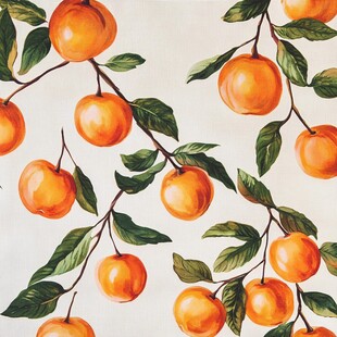 水彩风枝头橙果图案