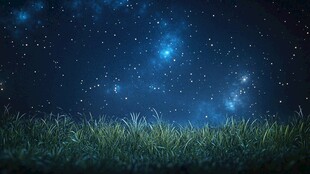 梦幻星空下的翠绿草地