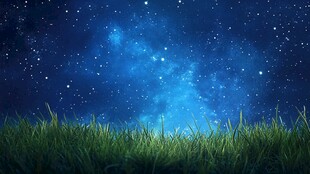 星空下的翠绿草地