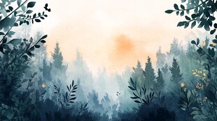 晨雾中的森林日出美景