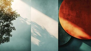 光影下的树与几何物体