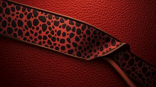 红色豹纹丝带特写