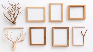 相框与自然元素创意组合