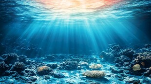 海底阳光照耀下的珊瑚世界