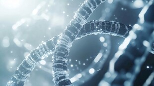 微观DNA结构特写