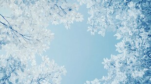 蓝调繁花下的清新天空