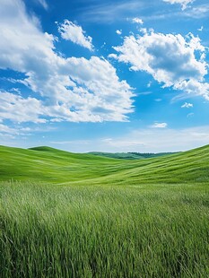 广袤绿野上的蓝天白云