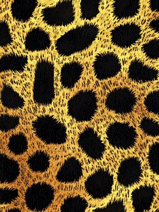 豹纹图案纹理背景图