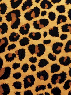 豹纹图案布料纹理展示