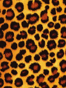 豹纹图案纹理背景图